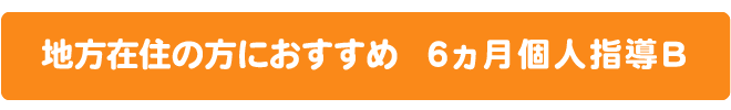 地方在住の方におすすめ、６ヵ月個人指導B